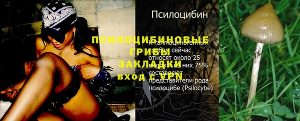 spice Абаза